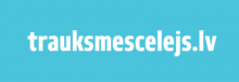 Trauksmes cēlējs