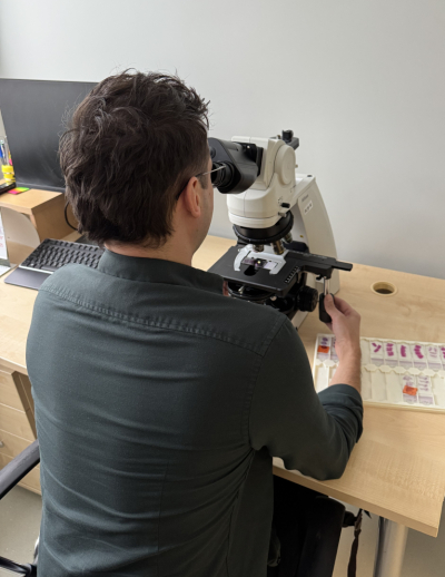 Vīrietis sēž pie galda un skatās mikroskopā