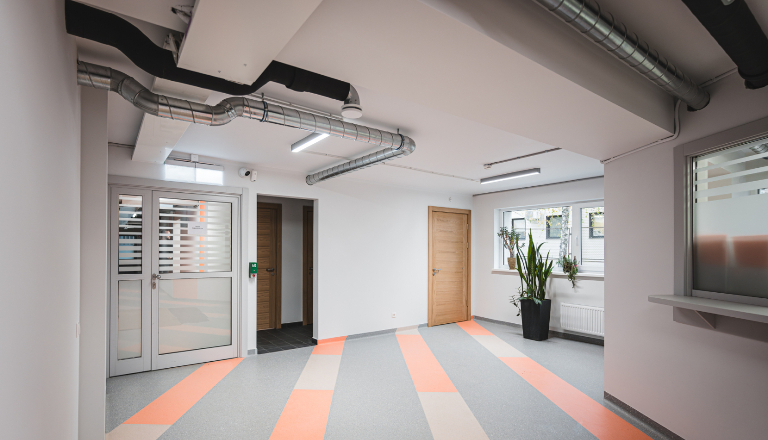 Moderna iestādes iekštelpa ar košu grīdas segumu, koka durvīm un lieliem logiem; redzami gaisa ventilācijas cauruļvadi un zaļie telpaugi pie loga